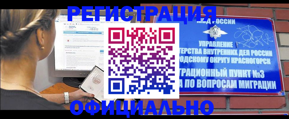 прописка законно в Борзе