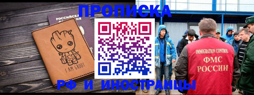 прописка от собственника в Борзе
